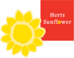 Herts Sunflower
